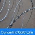 Militär Concertina Barb Wire